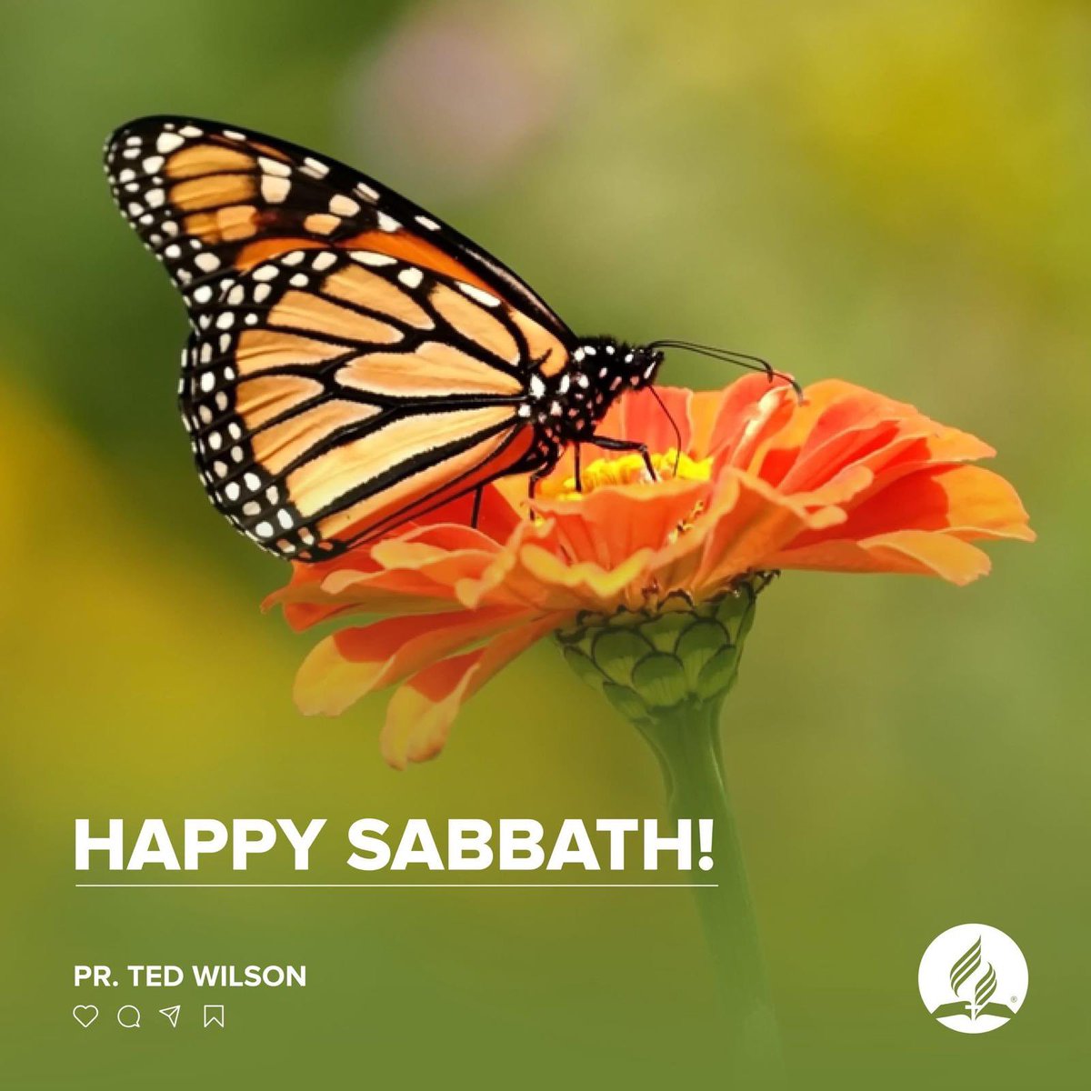 pastortedwilson's tweet photo. May you be blessed and enjoy God's beautiful creation on His special day! Happy Sabbath!
#HappySabbath https://t.co/X6dzSemgyd