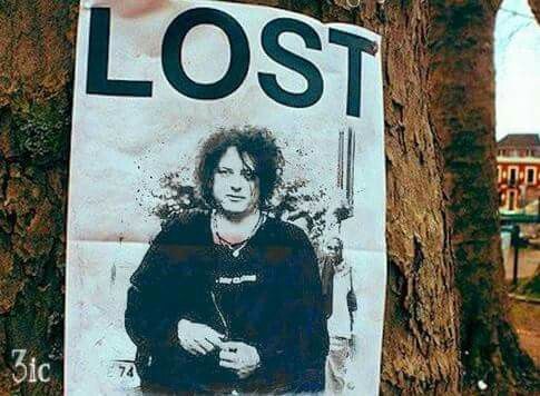 BIRDMADCUREHEAD's tweet image. Saw this while walking outside today, has anybody lost their granny?