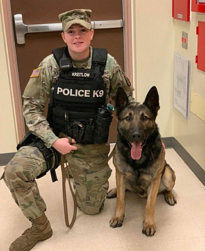 Best in Dogs tweet media