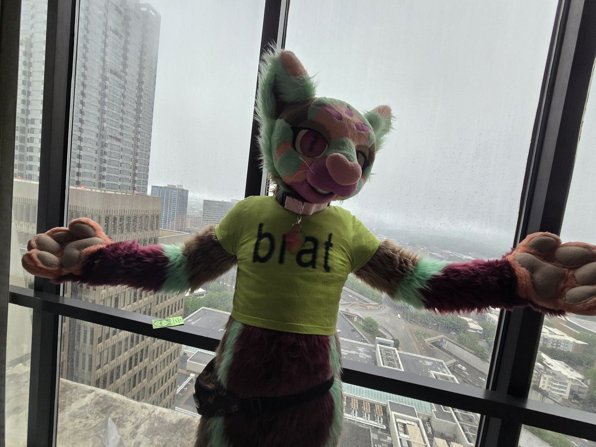 It's so Brat cat hours on this lovely #FursuitFriday