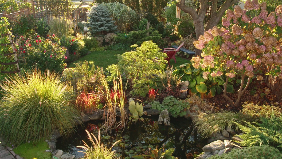 Featured Monday, May 19 on a new episode of <a href="/ageless_gardens/">Ageless Gardens</a>, columnist David Hobson writes about gardening year round for a number of Ontario publications including the K-W Record, Hamilton Spectator and Peterborough Examiner. Our colleagues at <a href="/Zoomer/">Zoomer Magazine</a> chatted with David about