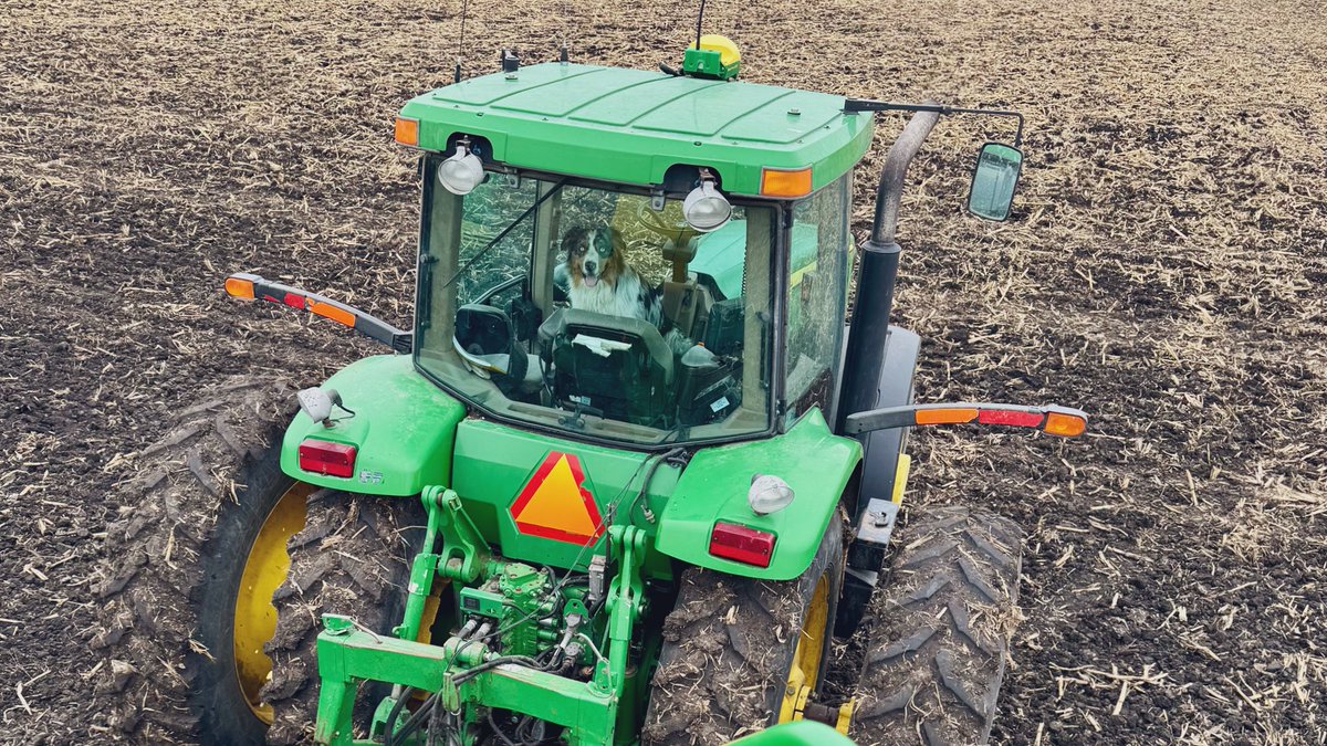 It’s been a great few weeks getting Dekalb corn, soybean, and canola trials planted across Eastern MB! 🌽🌱🌼 A big thank you to our cooperators - and their furry supervisors 🐶 - for making it happen!