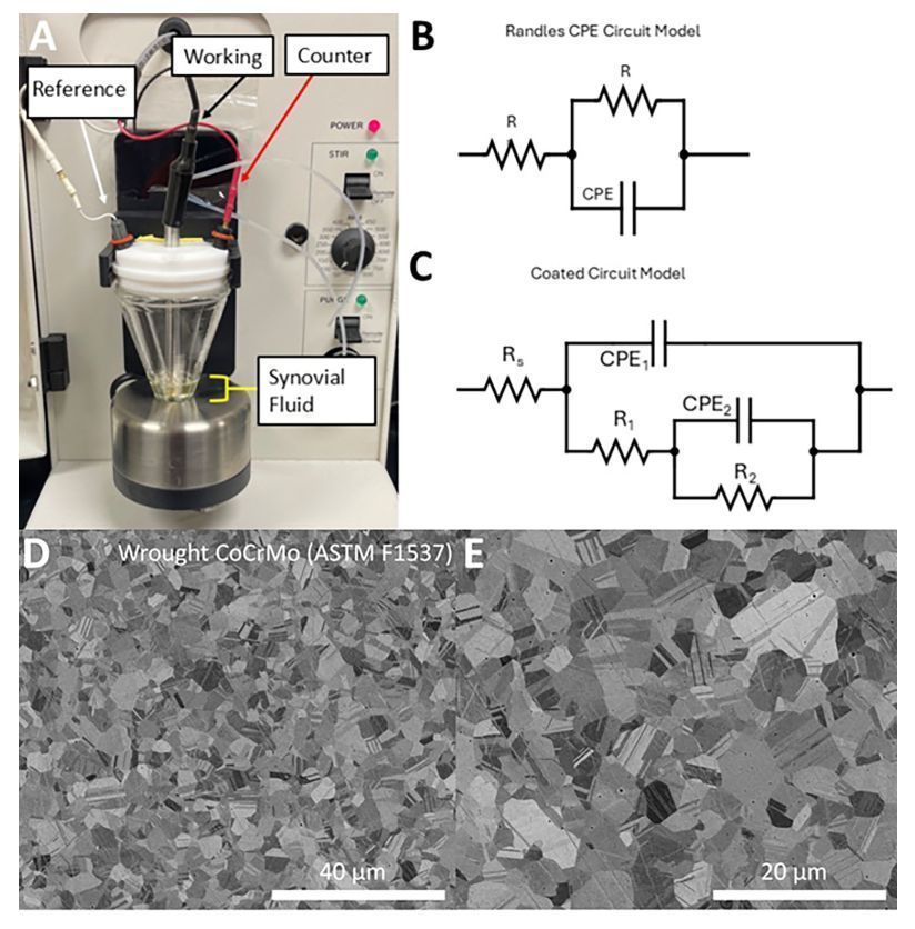 Bethany Andoko (she/they) (@bethanyandoko) on Twitter photo New in <a href="/JOrthopRes/">Journal of Orthopaedic Research®</a>: Electrochemical testing of CoCrMo in osteoarthritic synovial fluid from 118 TKA patients shows variability, suggesting implant performance may depend on the patient’s local physiological environment & SF composition.
buff.ly/ej90Bxf
#ORSSMC <a href="/ORSsociety/">Orthopaedic Research Society</a> New in <a href="/JOrthopRes/">Journal of Orthopaedic Research®</a>: Electrochemical testing of CoCrMo in osteoarthritic synovial fluid from 118 TKA patients shows variability, suggesting implant performance may depend on the patient’s local physiological environment & SF composition.
buff.ly/ej90Bxf
#ORSSMC <a href="/ORSsociety/">Orthopaedic Research Society</a>