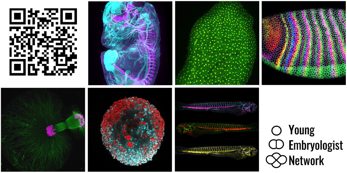 Voting for the YEN image competition will close on Monday 19th May.

Check out the images and vote for your favourite!
#YEN2025