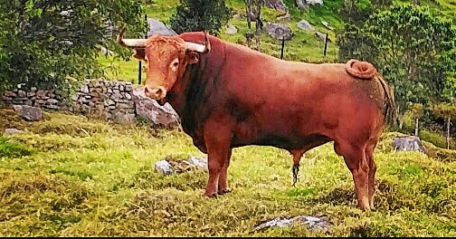 fabilan94's tweet photo. #DiaDeLaTauromaquia @VentasSanto https://t.co/u3oQndSfzR