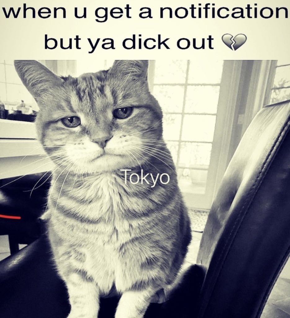 mor (@moristiko) on Twitter photo 