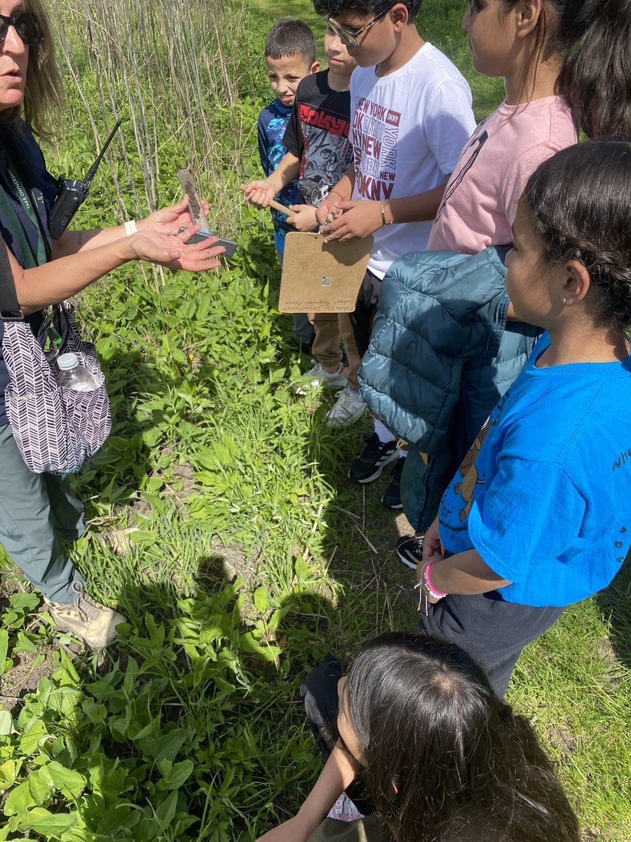 Hammond Hawks tweet media