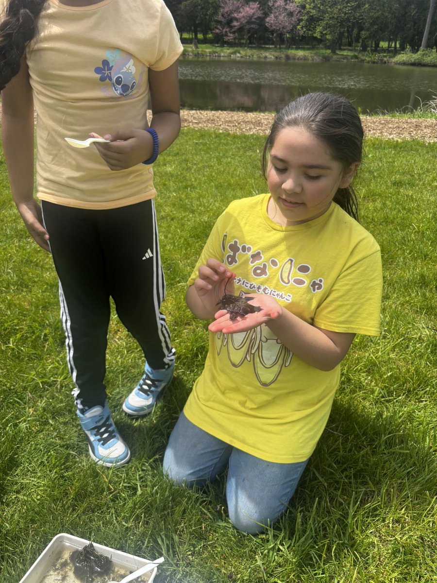 Hammond Hawks tweet media