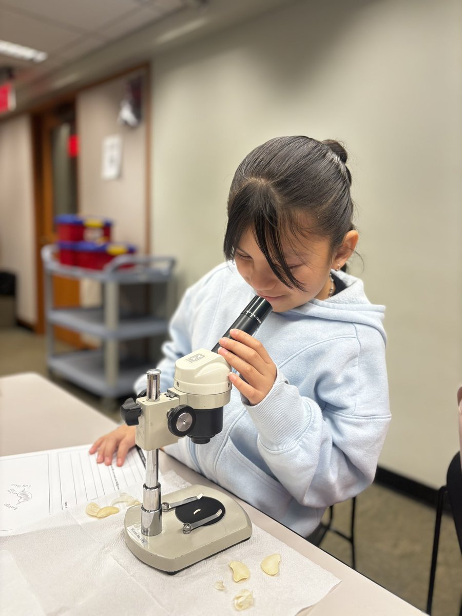 Hammond Hawks tweet media