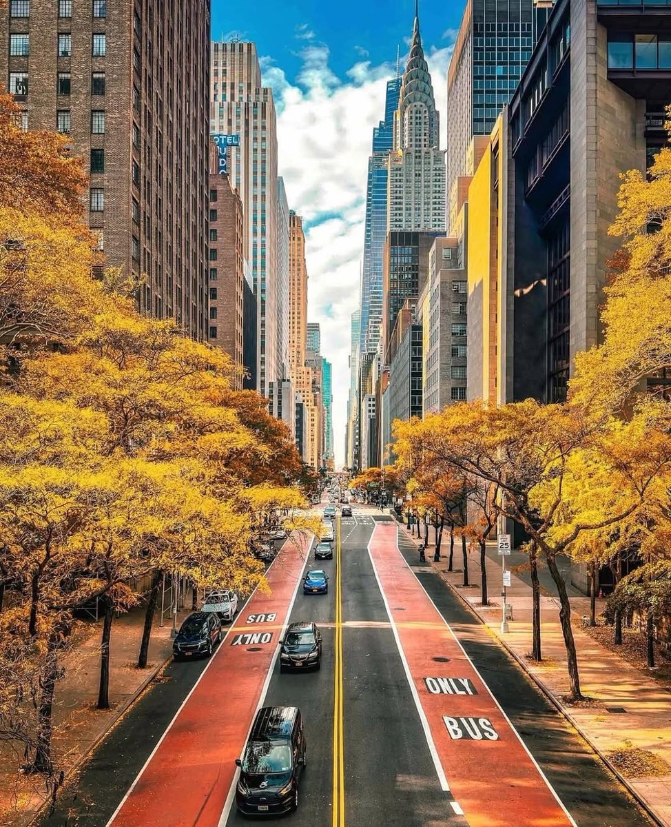 Lush_Serenity's tweet photo. New York City 🗽 https://t.co/245FCBsUpP