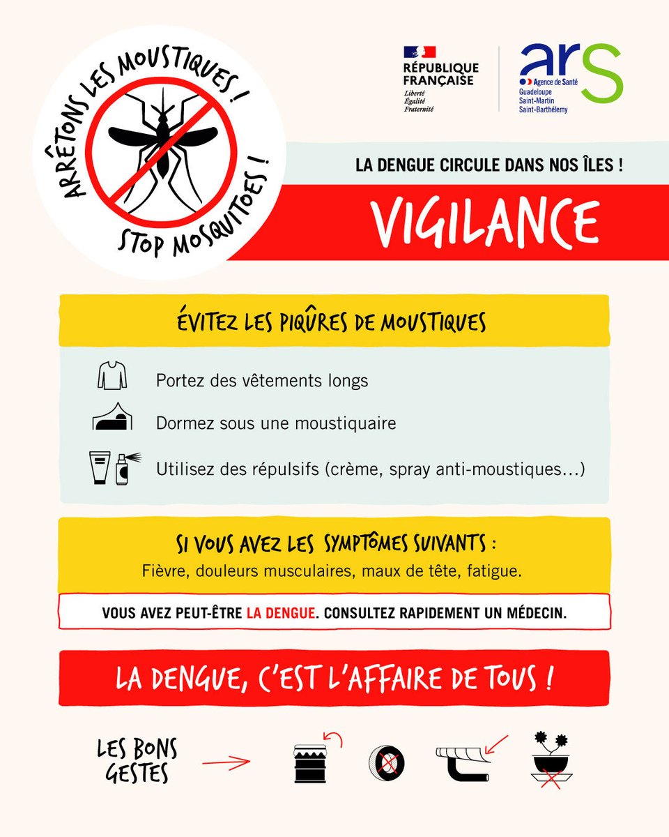 #Dengue | 🦟 La dengue circule activement dans nos îles !

Protégeons-nous et adoptons les bons gestes pour limiter la propagation du virus 🔽 :