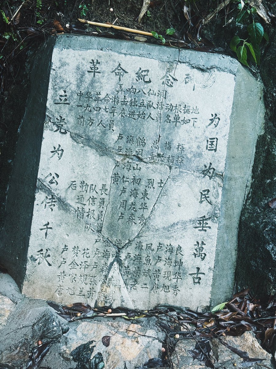 昨天我說去天坑
被否方案
說是網紅點
今天我強行要去
說下大暴雨
我說更要去
走到一半還發現導航錯誤
又多花了五十分鐘車程
最後發現
不虛此行 https://t.co/2GVa29Wdgw