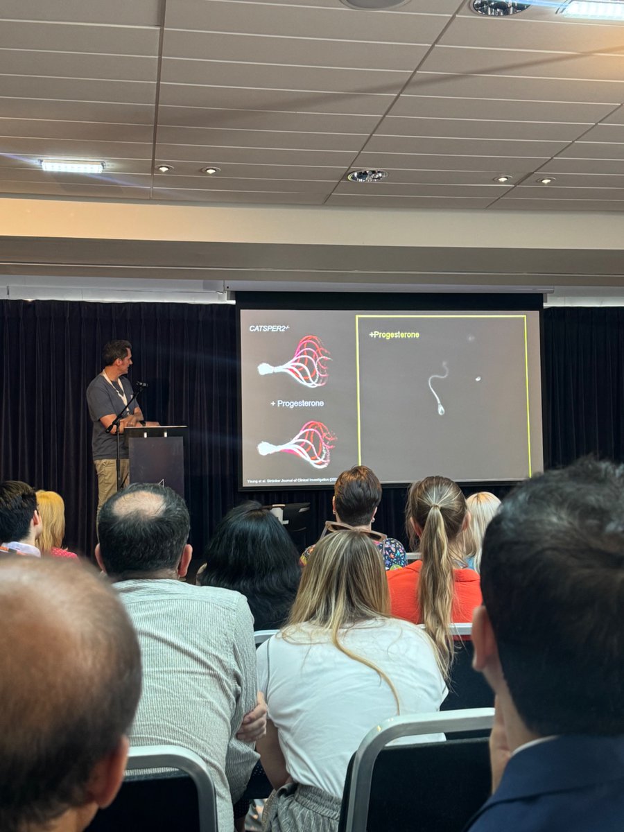 SHREG Dundee tweet media