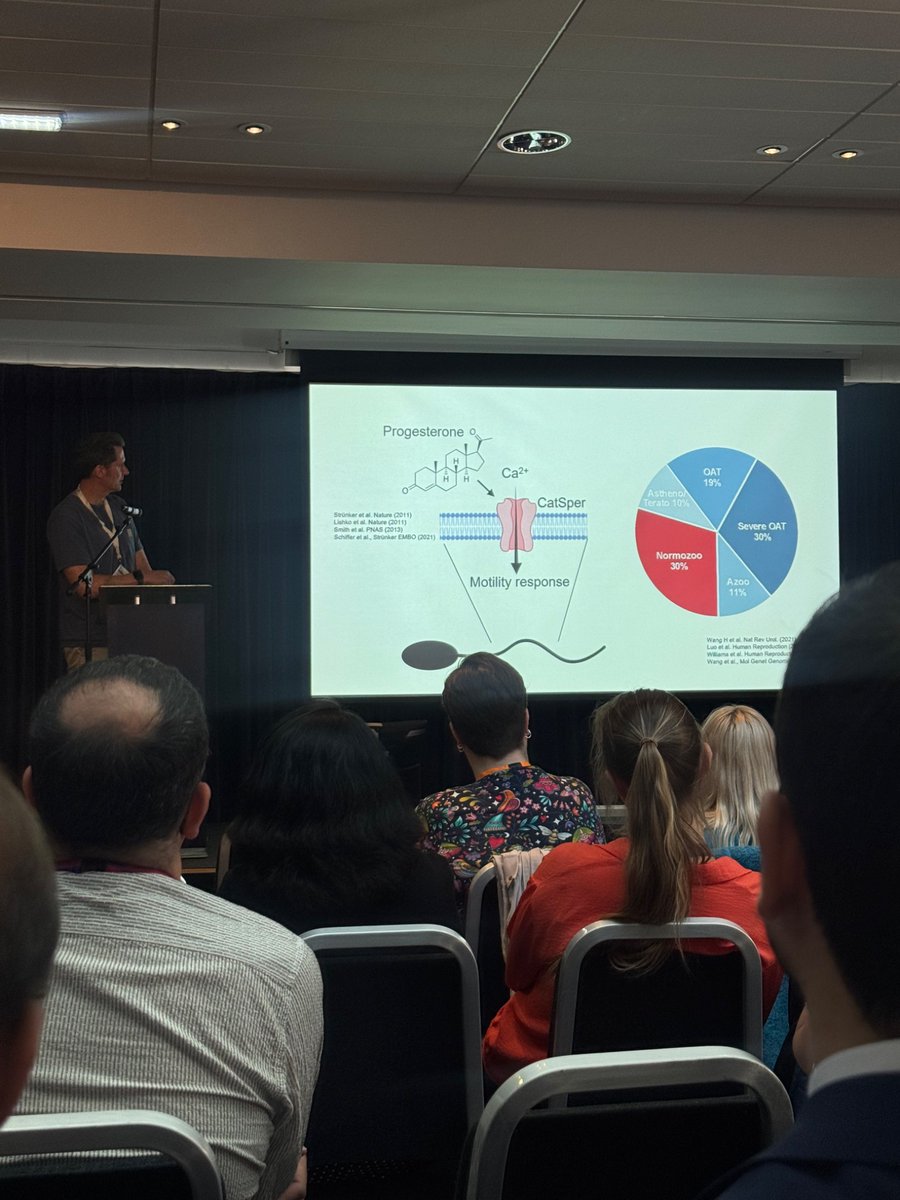 SHREG Dundee tweet media