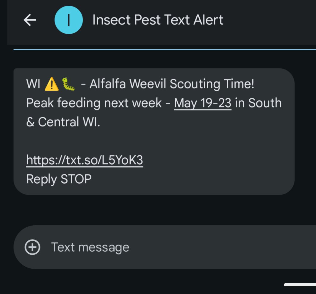 Emily Bick, Ph.D. (@bick_emily) on Twitter photo Insect Pest Text Alert is live in Wisconsin.
Heads up! Go scout for Alfalfa Weevil next week is South and Central WI.
<a href="/widatcp/">Wisconsin DATCP</a> <a href="/UWMadisonExt/">UW–Madison Division of Extension</a> Insect Pest Text Alert is live in Wisconsin.
Heads up! Go scout for Alfalfa Weevil next week is South and Central WI.
<a href="/widatcp/">Wisconsin DATCP</a> <a href="/UWMadisonExt/">UW–Madison Division of Extension</a>
