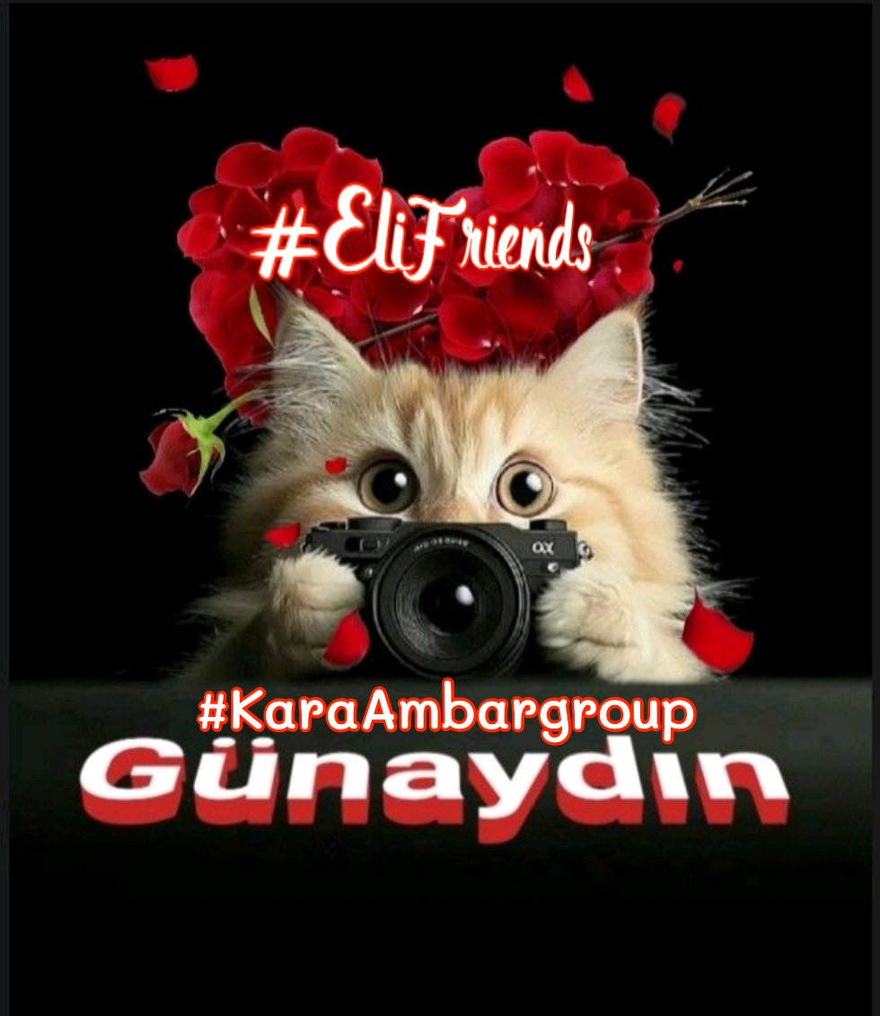 💛 𑜞᭄ MaryEly🌻 (@_maryely_) on Twitter photo ❣#KaraAmbargroup
#EliFriends🇧🇷
<a href="/Sinan256as/">A.Sevinç</a>
<a href="/florchicana/">Selene 𝕏🖤Perfectly imperfect 🖤❌DM❌</a>
⚘<a href="/nena_bovb51/">Nena</a>
<a href="/MarcelaErcia/">🕉MARCE🐉⚖ #MarceTeAyuda🔮#MarceLive🔄 Meme y Popi</a>
<a href="/Sude0028/">✿Naz ♥‿♥✿</a>
<a href="/JennyDazze/">𝒥ℯ𝓃𝓃𝓎࿐🦋</a>
<a href="/Saori__M/">ღƪ(ˆ◡ˆ)ʃ♡ℳДƦîƝ இ️ ♡</a>
<a href="/sungelin/">Sarı gelin</a>
<a href="/cknlaw1/">🌐ニシ🍥⚖️</a>
<a href="/SSsadevil12/">Aria ≽^• ˕ • ྀི≼</a>
<a href="/Jasmine02727806/">🌼 ᒎ ᗩ ᔕ ᙢ ᓰ Ɲ ᕮ2🌼</a>
<a href="/Spencerjames211/">Spencer James #GAINWITHPETAL #TMPETAL #Teamspirit</a>
<a href="/RobertPage68/">#EliFriends 👉Robert👈</a>
<a href="/GRAHAM15583/">🅶🆁🅰🅷🅰🅼</a>
<a href="/Ldovyka/">✧⃝🇧🇷᯾༄🍃𝑙𝑢𝑑𝑜𝑣𝑦𝑘𝑎🍃 ᯾༄✧⃝🇧🇷</a>
<a href="/PskDilek/">Dilek 🌊🍃</a>
<a href="/Da__Eliz/">Eli👸</a>
<a href="/Baoo_321/">Baoo_313 🇵🇰🇨🇳🇫🇷🇩🇪🇹🇷🇯🇵🇺🇸🇬🇧🇧🇷🇨🇦</a>
<a href="/Sc2017W/">SC2017</a>
<a href="/x4Eileen/">Eileen Bridget🌸</a>
<a href="/_MaryEly_/">💛 𑜞᭄ MaryEly🌻</a> ❣#KaraAmbargroup
#EliFriends🇧🇷
<a href="/Sinan256as/">A.Sevinç</a>
<a href="/florchicana/">Selene 𝕏🖤Perfectly imperfect 🖤❌DM❌</a>
⚘<a href="/nena_bovb51/">Nena</a>
<a href="/MarcelaErcia/">🕉MARCE🐉⚖ #MarceTeAyuda🔮#MarceLive🔄 Meme y Popi</a>
<a href="/Sude0028/">✿Naz ♥‿♥✿</a>
<a href="/JennyDazze/">𝒥ℯ𝓃𝓃𝓎࿐🦋</a>
<a href="/Saori__M/">ღƪ(ˆ◡ˆ)ʃ♡ℳДƦîƝ இ️ ♡</a>
<a href="/sungelin/">Sarı gelin</a>
<a href="/cknlaw1/">🌐ニシ🍥⚖️</a>
<a href="/SSsadevil12/">Aria ≽^• ˕ • ྀི≼</a>
<a href="/Jasmine02727806/">🌼 ᒎ ᗩ ᔕ ᙢ ᓰ Ɲ ᕮ2🌼</a>
<a href="/Spencerjames211/">Spencer James #GAINWITHPETAL #TMPETAL #Teamspirit</a>
<a href="/RobertPage68/">#EliFriends 👉Robert👈</a>
<a href="/GRAHAM15583/">🅶🆁🅰🅷🅰🅼</a>
<a href="/Ldovyka/">✧⃝🇧🇷᯾༄🍃𝑙𝑢𝑑𝑜𝑣𝑦𝑘𝑎🍃 ᯾༄✧⃝🇧🇷</a>
<a href="/PskDilek/">Dilek 🌊🍃</a>
<a href="/Da__Eliz/">Eli👸</a>
<a href="/Baoo_321/">Baoo_313 🇵🇰🇨🇳🇫🇷🇩🇪🇹🇷🇯🇵🇺🇸🇬🇧🇧🇷🇨🇦</a>
<a href="/Sc2017W/">SC2017</a>
<a href="/x4Eileen/">Eileen Bridget🌸</a>
<a href="/_MaryEly_/">💛 𑜞᭄ MaryEly🌻</a>