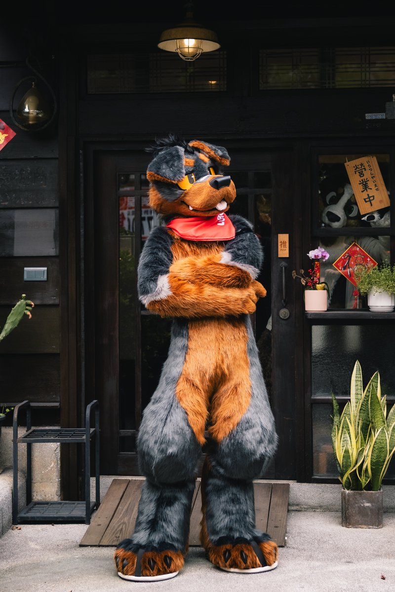 🐾🐾

📷<a href="/republicoframen/">QiuQiu</a>