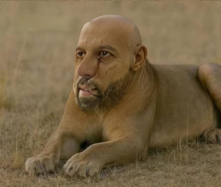 𝐊𝐢𝐧𝐠𝐩𝐢𝐧 tweet media