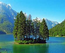 TiffanySti95832's tweet image. . @soon_svm #SOONISTHEREDPILL Fogo#SOON carefully - crafted consensus mechanism is a key feature. #Fogo #KeyFeature😌