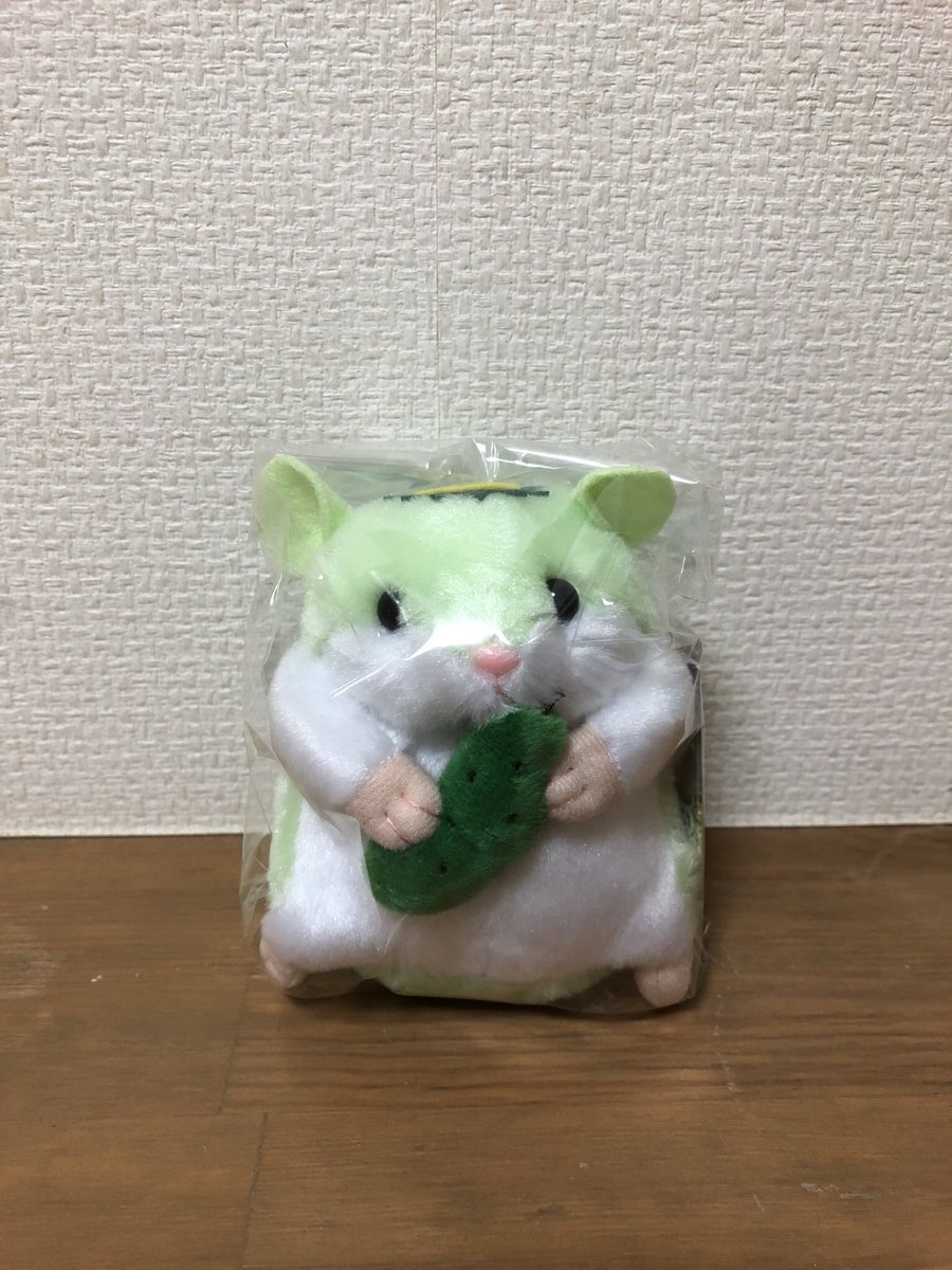 昨日は休演日だったので、
久々にお寿司🍣を食べて英気を養い、
かわいいハムカッパ🥒をお迎えして
心を癒し、
今日から始まった後半戦も頑張るぞ！

明日のお芝居は【銀平最後の大博打】
先輩方がとにかくカッコいいお芝居です！
是非是非、桃の湯劇場まで！！