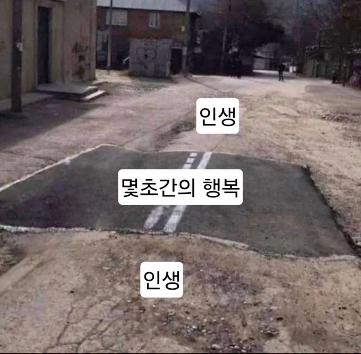 북크북크 tweet media