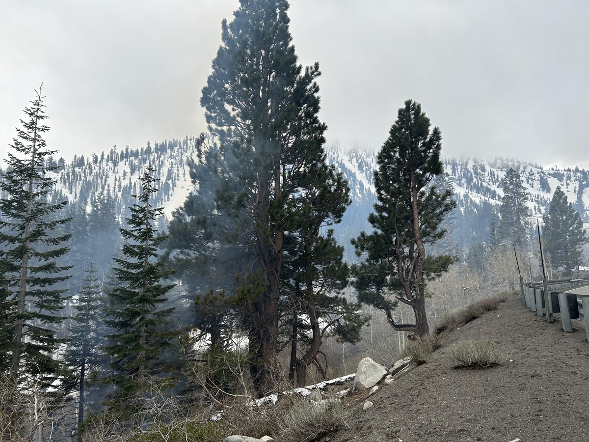 HumboldtToiyabe's tweet image. Smoke from this week&apos;s prescribed burn could still be visible this weekend as crews continue mop up along Mt. Rose Highway, please do not call 911 to report smoke.
