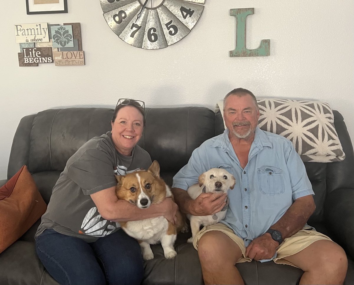 whitemanML's tweet image. Here is our official adoption photo for the rescues website. The other cutie is Cooper. She just turned 13. #dogadoption #corgination #archiethecorgi #piperthecorgi