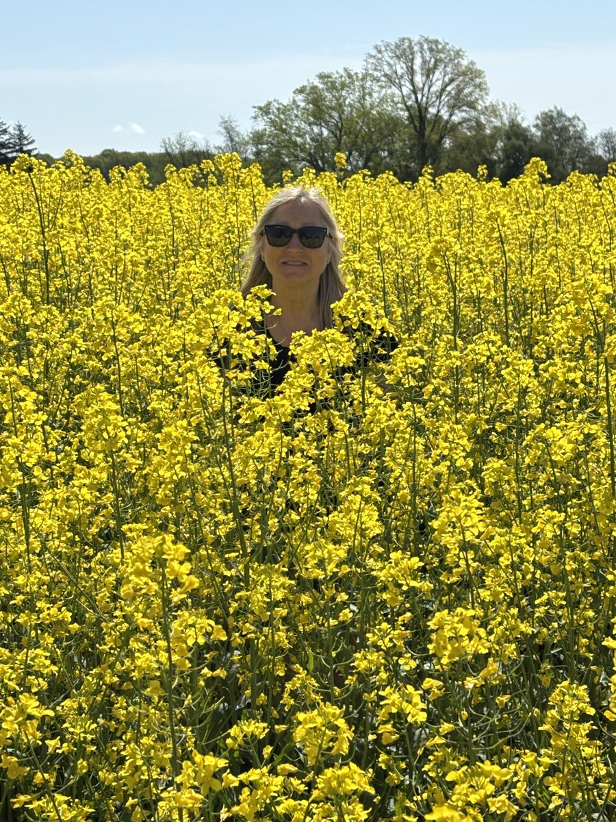 Don Smith tweet media