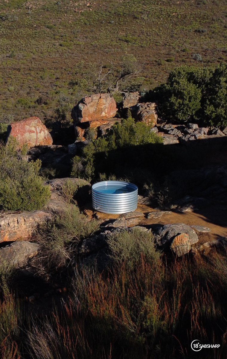 Tebogo_PinPin's tweet image. Nature, a good book, and stillness.
A breath of fresh air and a new chapter. 🌿

#ThisIsLiving #Ad