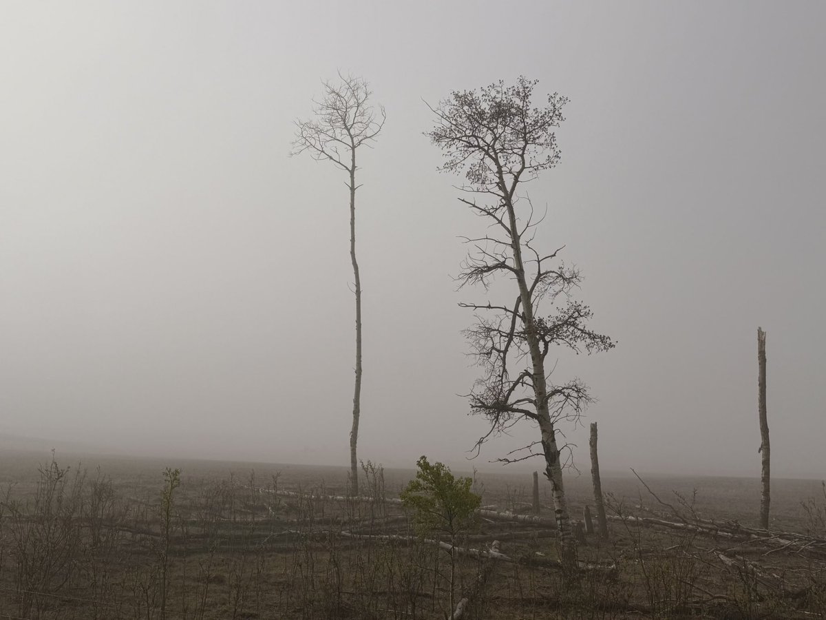 Foggy morning here in central Alberta <a href="/mikesobel/">Mike Sobel</a> <a href="/dartanner/">Dar Tanner</a>