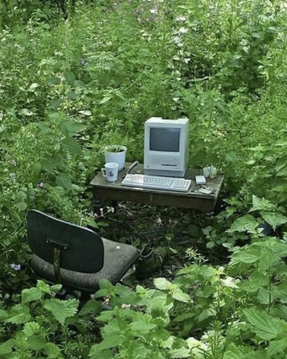 dennush's tweet image. touching grass while drawing rectangles