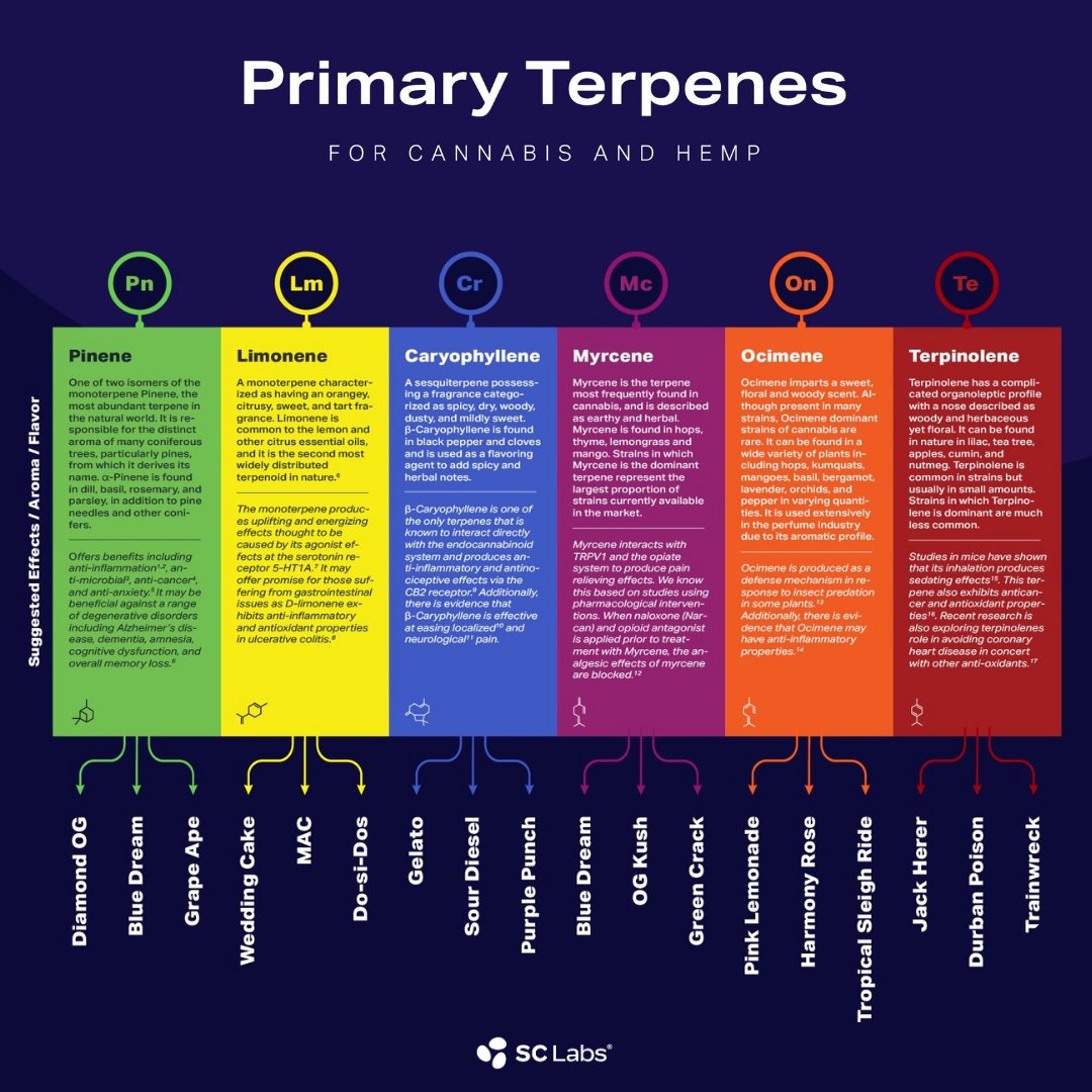 TweedleFarms's tweet photo. Behind every good cannabis strain is a story, and in many ways, that story is told by terpenes!

Interested to read more? Check out our newest blog post here: https://t.co/oWsbxGqYFp https://t.co/FwLfyn4IlY