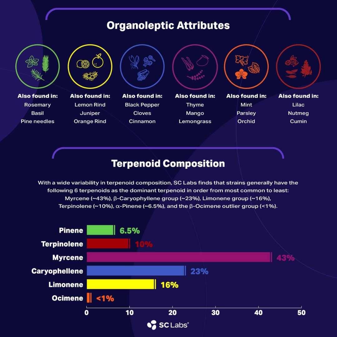 TweedleFarms's tweet photo. Behind every good cannabis strain is a story, and in many ways, that story is told by terpenes!

Interested to read more? Check out our newest blog post here: https://t.co/oWsbxGqYFp https://t.co/FwLfyn4IlY