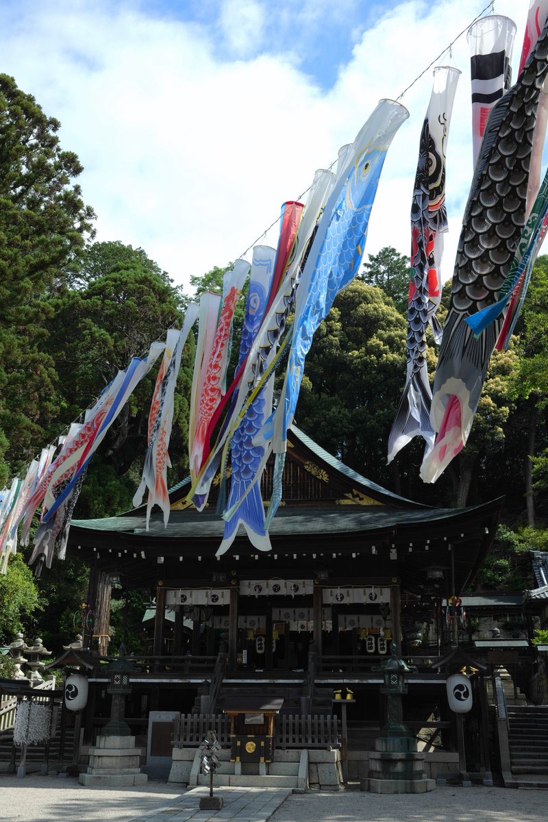 akausaY's tweet photo. 僕は自分が綺麗と感じられる世界を撮りたい。構図や、主題、副題など考えるよりフォインターから覗く世界に魅了されたらシャッターをきるの。そんな世界を共感してもらえる人が少しでも居たら嬉しいな☆彡
#神社 
#ファインダー越しの私の世界 
#八幡堀 
#写真 
#風景 
#shrine 
#photo 
#photograph https://t.co/CJ0DJZyJDQ