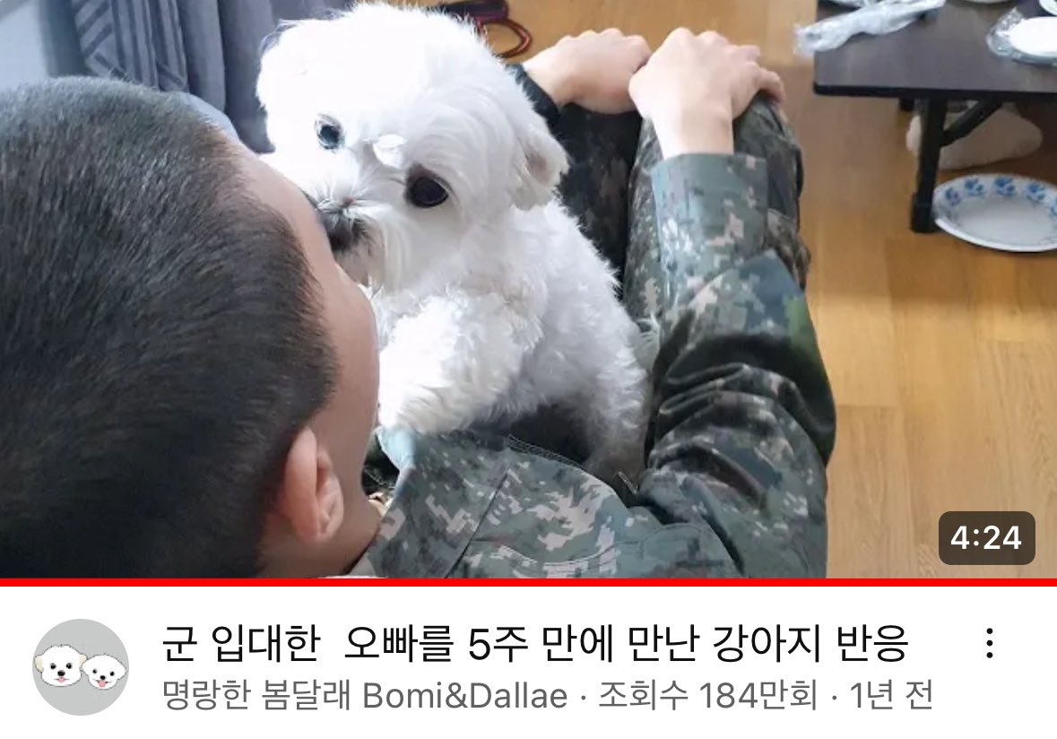WkfxjfrP's tweet photo. 매일 군대간 오빠를 기다리던 강아지 https://t.co/FTwpLRjX5o