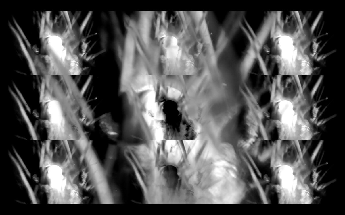 Kira Huillet tweet media