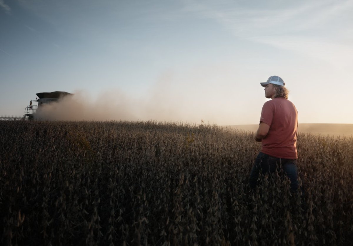 missourisoybean's tweet image. Strong minds make strong farms. It’s more important than ever to prioritize your mental health. After all, a farm’s health depends on the farmer’s health.
🌱 Read more: mosoy.org/article/strong…
#MentalHealth #Farming #MOSoy