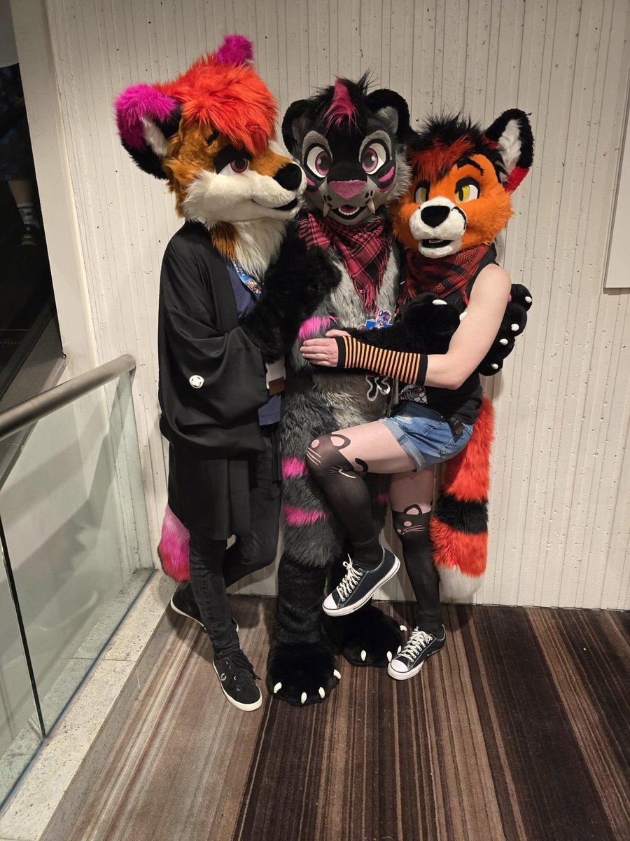 Jags π΄σ §σ ’σ ·σ ¬σ ³σ Ώ π (@jagsyredpanda) on Twitter photo Poor <a href="/MeekoTooth/">Meeko</a> looks like heβs in big trouble between me and <a href="/Foxtalic/">Cassiusπ±</a> this #FursuitFriday
πΈ <a href="/DexterShepherd/">Dexter Shepherd</a> Poor <a href="/MeekoTooth/">Meeko</a> looks like heβs in big trouble between me and <a href="/Foxtalic/">Cassiusπ±</a> this #FursuitFriday
πΈ <a href="/DexterShepherd/">Dexter Shepherd</a>