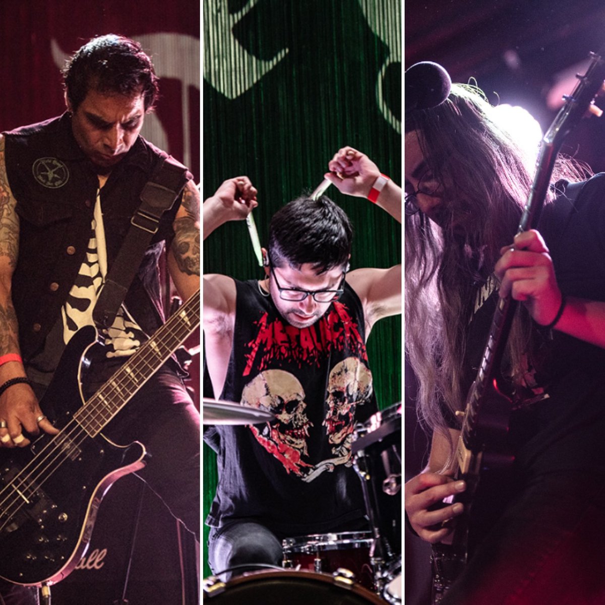 Dixie Goat tweet media