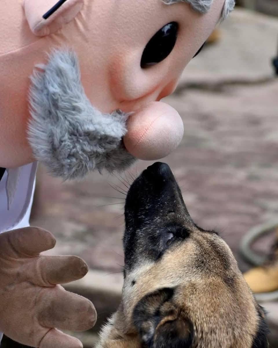 “Simi”:
Porque próximamente atenderá mascotas con sus consultorios veterinarios Simi Petcare de bajo costo.