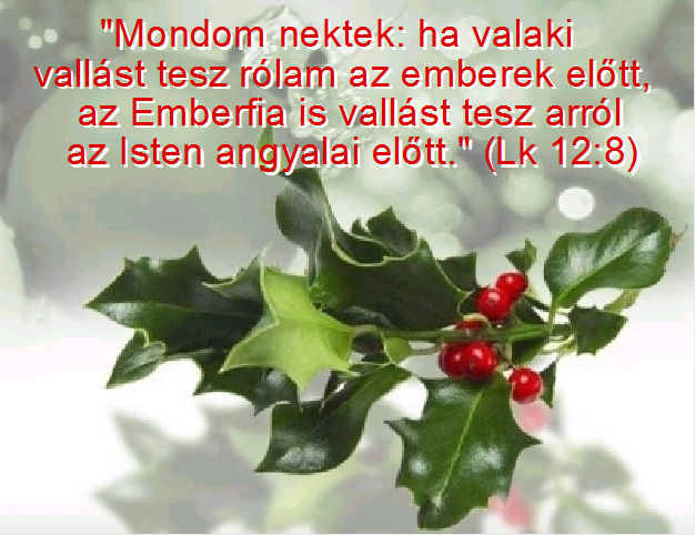 varozsa's tweet photo. „Aki az Istentől született, az nem cselekszik bűnt, mert az Ő magja van benne, és nem vétkezhet, mert az Istentől született.” (1Jn 3:9) Videók! https://t.co/NOZVZWC7l3 https://t.co/YHN1RETcHb