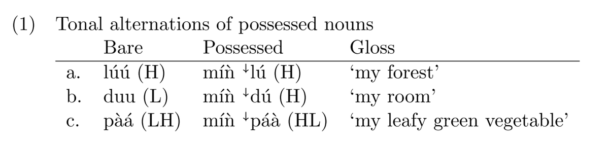 phono_logical's tweet photo. “Morpheme-specific behavior of floating tones in Lobi” by Hannah Sande (May ’25) #ACAL https://t.co/Ni786c7OLe https://t.co/KEoPmkNYmK