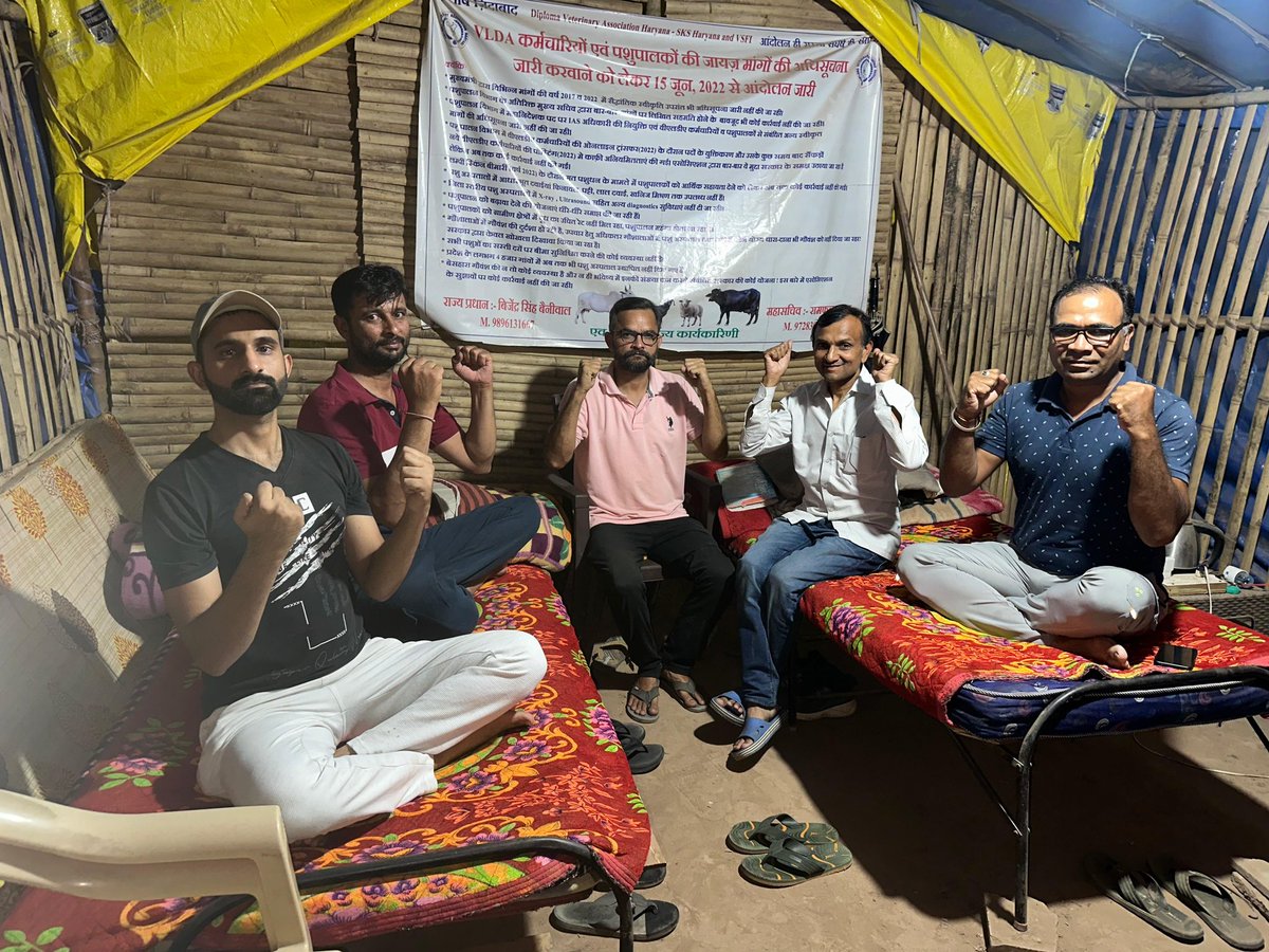DVA633SKS's tweet photo. पशुपालन विभाग में DG ��द पर #IAS अधिकारी की नियुक्ति एवं VLDA कर्मचारियों की माननीय मुख्यमंत्री महोदय @cmohry द्वारा स्वीकृत मांगों के #Notifications जारी करवाने हेतु DVA Haryana द्वारा धरना स्थल सेक्टर पांच पंचकूला में 1067 दिनों से आंदोलन जारी। @NayabSainiBJP @cmohry  @csharyana https://t.co/QaC90wmbaP
