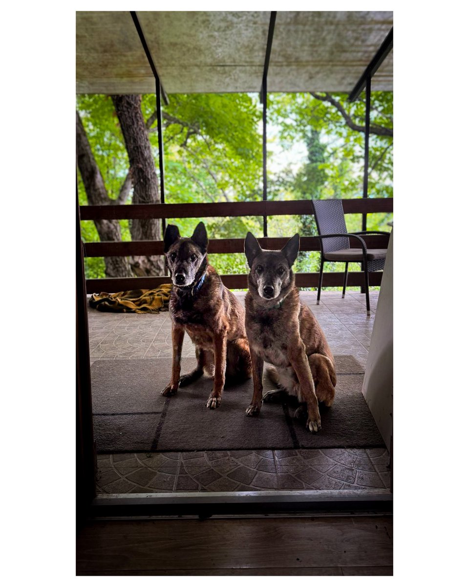 “Papati” state of mind
#maligator
Pepper &amp; Panda