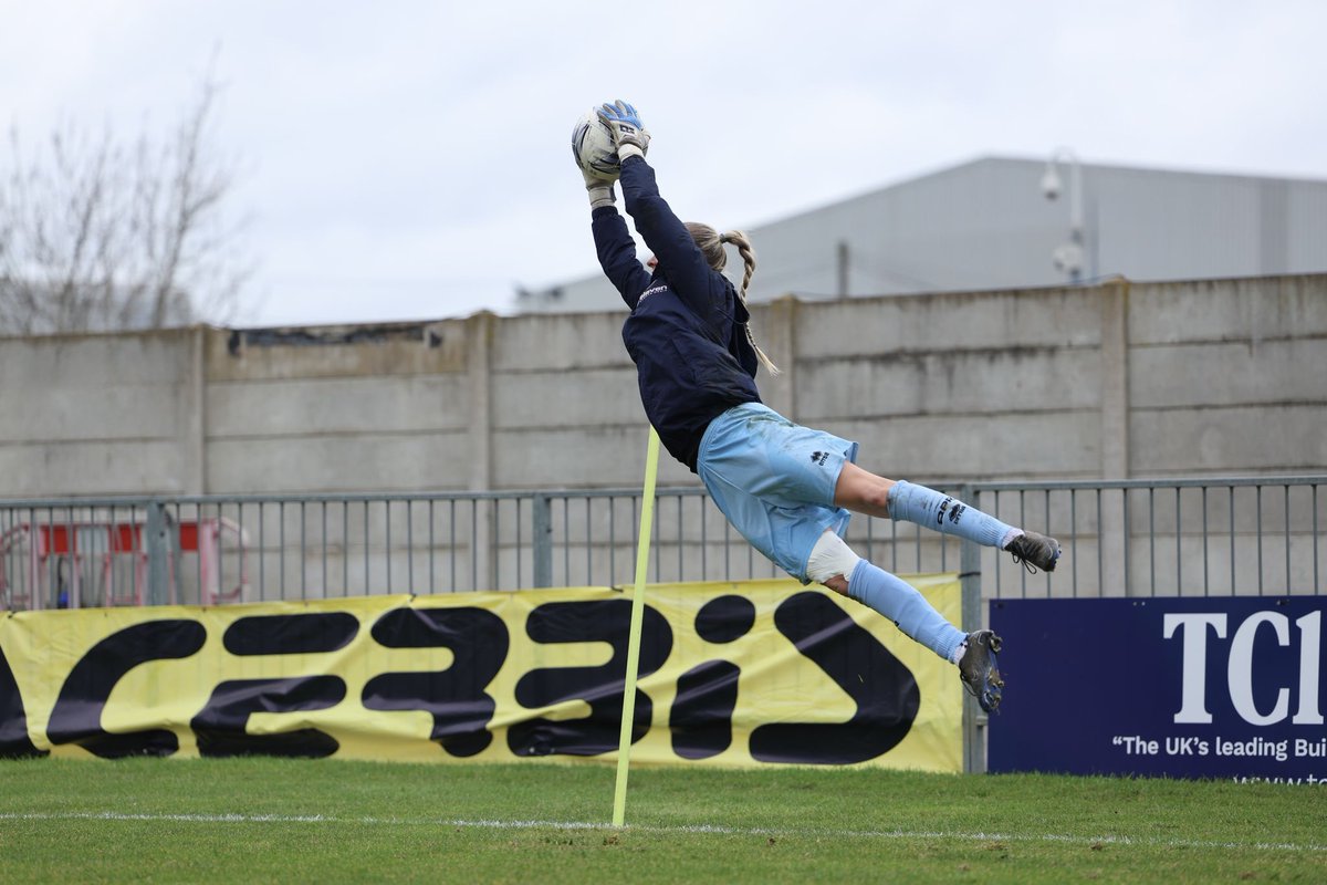 Free Agent Showcase tweet media