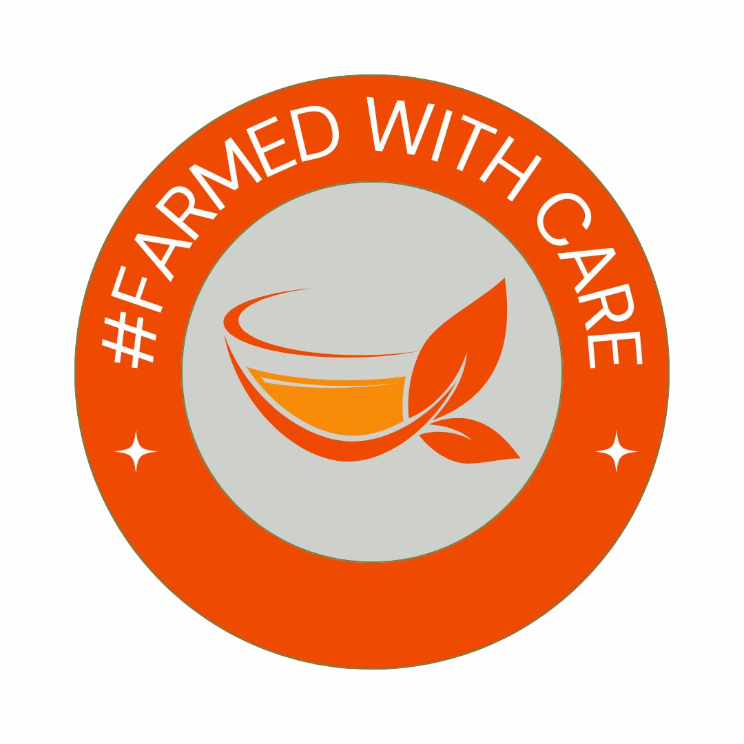 CanadaTea's tweet photo. Tea is rooted in tradition, nurtured by nature, and brought to life by those who dedicate themselves to its craft. 💚🍃 #RootedInTradition #FarmedWithCare #IPickedYourTea #InternationalTeaDay #ITD #TeaDay https://t.co/JUcsffq3Mh