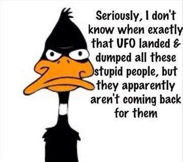 sally3162016's tweet photo. @ReallyAmerican1 https://t.co/4mC0Q0u2gM