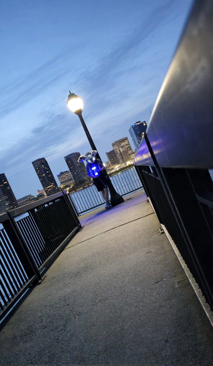 aBisMoth tweet media