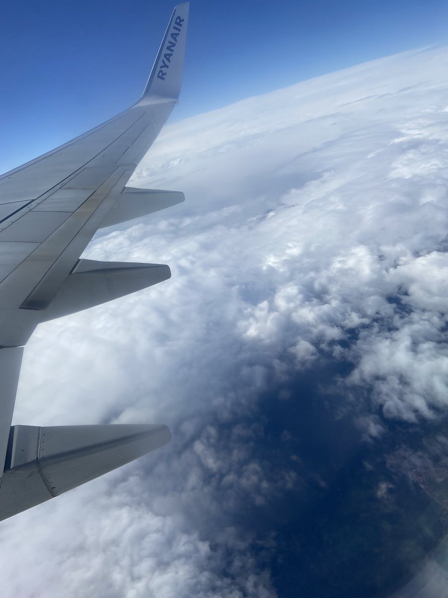 Hania🐝 tweet media