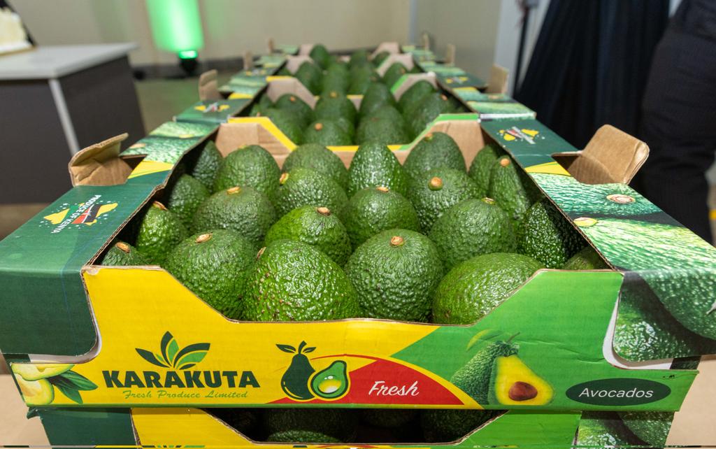 KeEquityBank's tweet photo. Karakuta Fresh Produce has officially launched its state-of-the-art avocado packhouse in Nairobi, a 7,500-tonne facility that is set to elevate Kenya’s position in the global avocado export market. With produce from its own 180-acre farm and an aggregation network of 1,500 smallholder farmers, the facility embodies a bold vision for transforming agricultural value chains in Africa.

Unveiled by Karakuta Fresh Produce CEO Grace Ngungi alongside Equity Group MD & CEO Dr. James Mwangi, this milestone demonstrates what’s possible when innovation, resilience, and transformative leadership come together.. Backed by Equity’s financing, Israeli technology, and a thriving Spanish market, the packhouse guarantees high standards of quality and consistency essential for export.

Dr. James Mwangi commended Grace Ngungi’s leadership, calling it a benchmark for scalable agribusiness driven by women and powered by purpose. With projections to export 60 containers in 2025 up from 8 in its first year, Karakuta’s trajectory is promising to unlock Africa’s agricultural potential.

#Agribusiness #Avocado #Agriculture #ExportAgendaKE